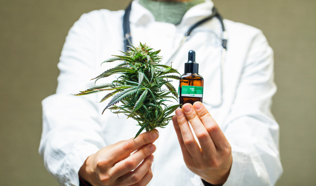 doctor holding marijuana plant